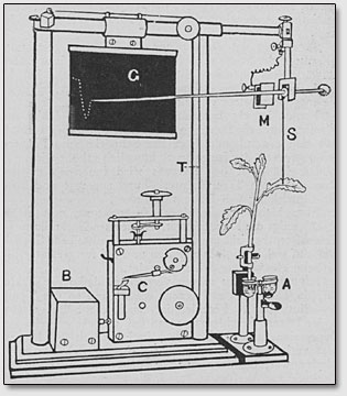 �������� (Phytograph), � ������� �������� ���� ������ ���������������� �������� ��������.