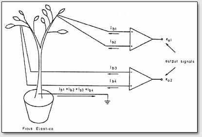 Рис. 1. Схема экспериментальной установки аппаратуры для измерения биоэлектрических сигналов растений