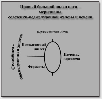 ������ ������� ����� ���� - ��������� ���������-������������� ������ � ������