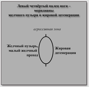 ����� �������� ����� ���� - ��������� �������� ������ � ������� �����������