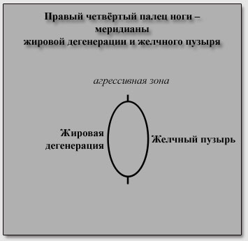 ������ �������� ����� ���� - ��������� ������� ����������� � �������� ������
