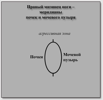 ������ ������� ���� - ��������� ����� � �������� ������