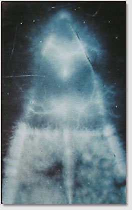 Kirlian-Phantombild eines abgeschnittenen Blattstückes (Phantomblatteffekt)
