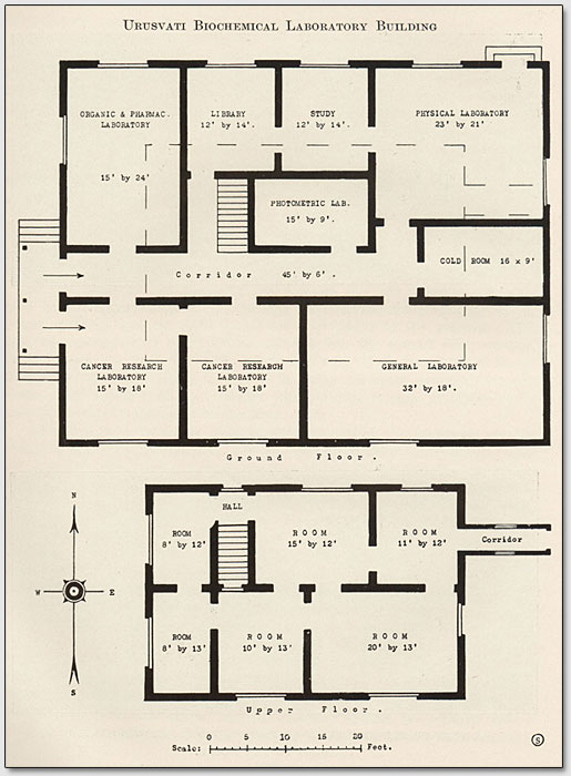 План расположения комнат в здании института "Урусвати"